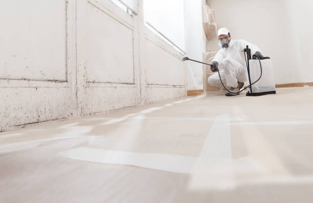 24/7 Emergency Attic Mold Removal experts in Withams, VA